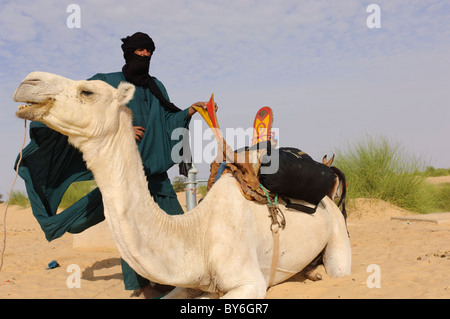 Tuareg-Mann und seinem weißen Kamel. Timbuktu, Mali Stockfoto