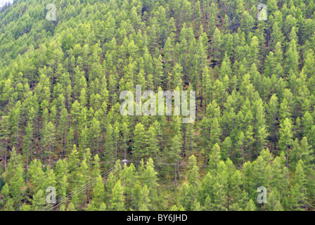 Panorama Mischwald im Herbst Stockfoto