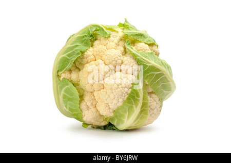 einzelne Blumenkohl Kohl isoliert auf weiss Stockfoto