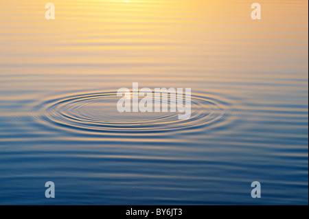 Goldene Wasserwellen bei Sonnenuntergang an einem See in Indien Stockfoto