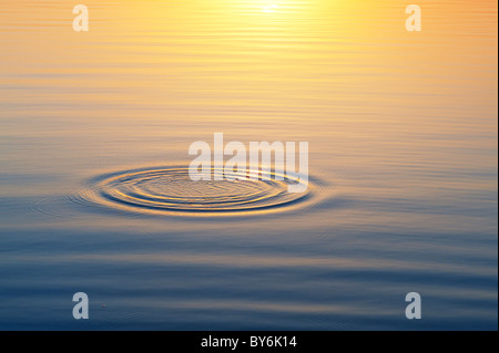 Goldene Wasserwellen bei Sonnenuntergang an einem See in Indien Stockfoto