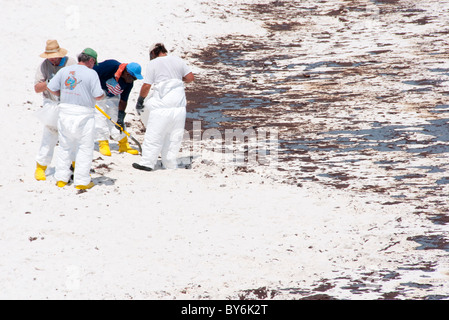 BP-Öl-Arbeiter versuchen, Öl gespült in Pensacola, Florida zu entfernen Stockfoto