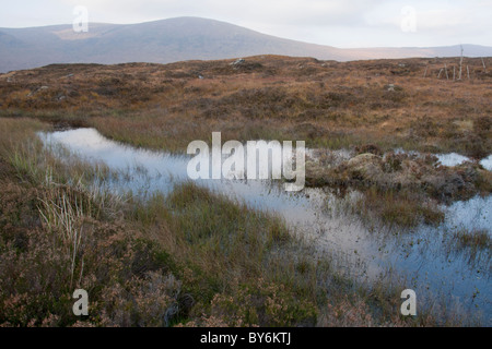 Stehendes Wasser auf Rannoch Moor, in der Nähe von Glen Coe. Stockfoto
