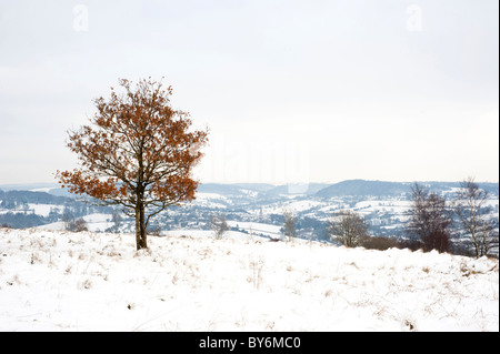 Schneebedeckte Ansicht über das Painswick-Tal in der Nähe von Edge, Gloucestershire, England, Vereinigtes Königreich Stockfoto