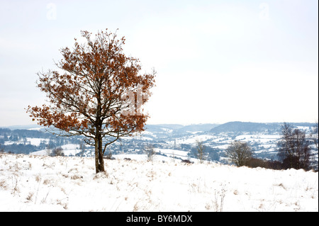 Schneebedeckte Ansicht über das Painswick-Tal in der Nähe von Edge, Gloucestershire, England, Vereinigtes Königreich Stockfoto