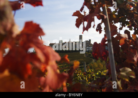 Castiglione Falletto, Langhe, Piemont, Italien Stockfoto
