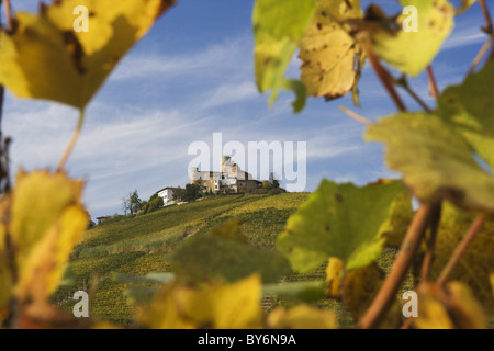 Castiglione Falletto, Langhe, Piemont, Italien Stockfoto