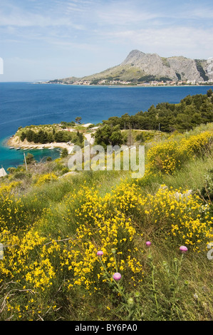 Elk192-3081 Kroatien, Dalmatien, Omis Stadt von oben Stockfoto