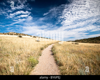 Im Devils Backbone Park, Loveland Colorado Trail Stockfoto