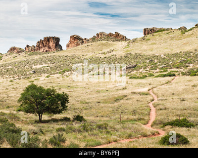 Felsformation im Devils Backbone, Loveland Colorado Stockfoto