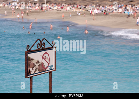 Warnschild verbieten, Tauchen von den Felsen ins Meer an der Costa Adeje auf Teneriffa Kanarische Inseln, Spanien Stockfoto