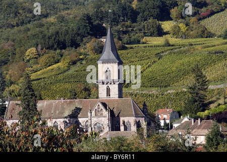 Alsace Weinstraße Stadt Hunawihr Frankreich Weinberg Trauben Erntehelfer Tokay Sylvaner Trauben Stockfoto