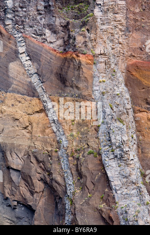 Felswand in vulkanischen Gesteinen zeigt Deich Entstehung, Madeira Stockfoto