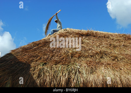 Mann thatching Dach, Costa Maya, Südost-Region, Mexiko, Karibik. Stockfoto