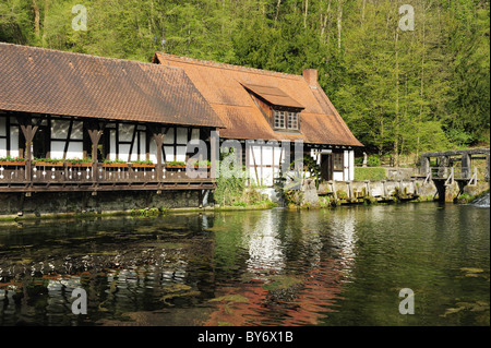 Wassermühle am Blautopf, Feder und Quelle des Flusses Blau, Blaubeuren, Alb-Donau-Kreis, Bayern, Deutschland Stockfoto