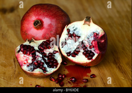 Granatapfel Punica Granatum Stockfoto