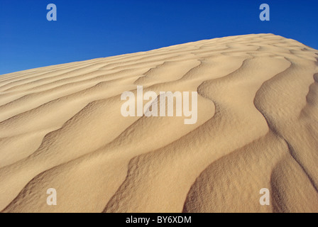 Sanddünen in der Sahara-Wüste in der Nähe von Douz, Tunesien Stockfoto