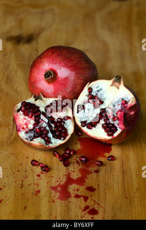 Granatapfel Punica Granatum Stockfoto