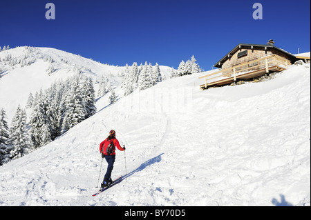 Frau Backcountry Ski, Berg in Richtung einer Alphütte, Hirschberg, bayerischen Alpen Gebirge, Oberbayern, Bav aufsteigend Stockfoto