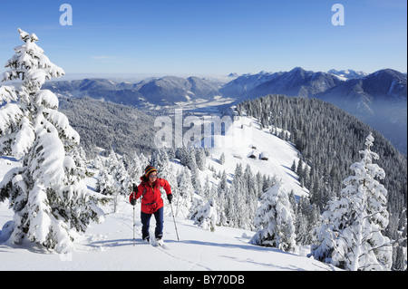 Frau Backcountry Skifahren, Hirschberg Berg mit einem tief verschneiten Wald und bayerischen Alpen im Hintergrund, Hirschbe aufsteigend Stockfoto