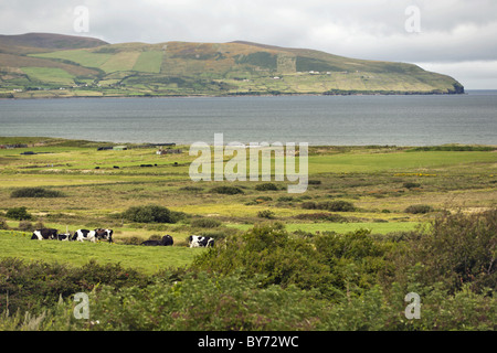 Tralee Bay, Halbinsel Dingle, County Kerry, Irland Stockfoto