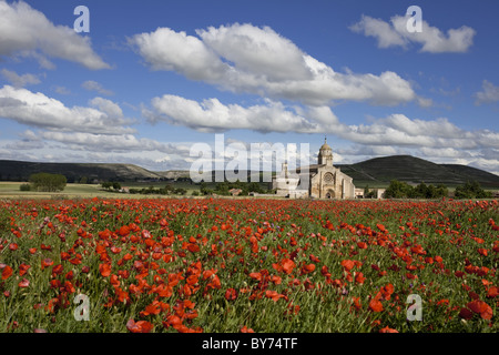Mohnfeld mit Mohnblumen, Santa Maria del Manzano Kirche im Hintergrund, Camin, Jakobsweg, Camino Frances, Castrojeriz Stockfoto