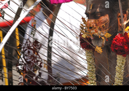 Hindu Anhänger während Thaipusam Festival 2011 in Singapur. Stockfoto