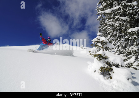 Snowboarder im Tiefschnee, Reit Im Winkl, Chiemgau, Upper Bavaria, Bayern, Deutschland, Europa Stockfoto