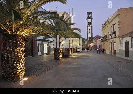 Palmen in einer ruhigen Straße, Innenstadt von Santa Cruz, Iglesia De La Conception, Teneriffa, Kanarische Inseln, Spanien Stockfoto