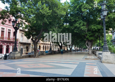 Kuba, Havanna. Das Prado-Museum, einer von Bäumen gesäumten Promenade in Zentral-Havanna. Stockfoto
