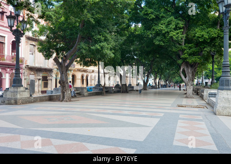 Kuba, Havanna. Das Prado-Museum, einer von Bäumen gesäumten Promenade in Zentral-Havanna. Stockfoto