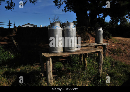 Drei Milchkannen auf grasbewachsenen Rande Holztischen baumbeschatteten blauer Himmel, am Eingang zu einem Bauernhof, Insel Chiloe, Chile Stockfoto