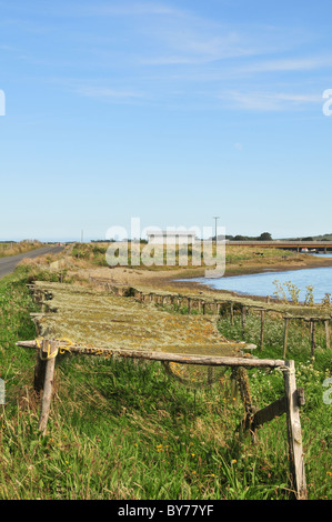 Blauer Himmel Porträtaufnahme von Algen Trocknung Gestelle auf einer grasbewachsenen am Straßenrand Küstenlinie, Golf von Quetalmahue, Chiloé Insel, Chile Stockfoto