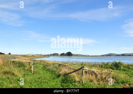 Blauen Himmel am Straßenrand Blick auf Algen Trocknung racks am grünen Ufer des Quetalmahue Golf in der Nähe von Quetalmahue, Chiloé Insel, Chile Stockfoto