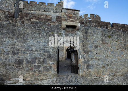 Tor aus der mittleren Ward zum Bergfried, Caher Castle wurde von der Butler Familie 1142, Caher, County Tipperary, Irland Stockfoto