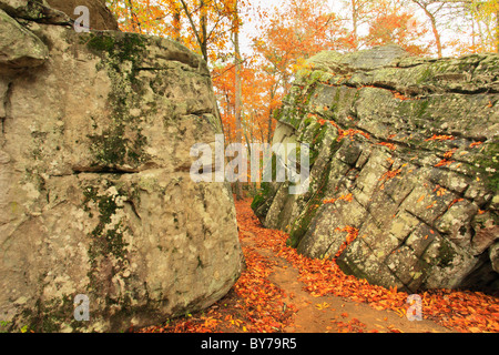 Nadel-Auge-Rock auf Laurel Falls Trail, DeSoto State Park, Fort Payne, Alabama, USA Stockfoto