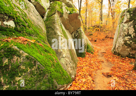 Nadel-Auge-Rock auf Laurel Falls Trail, DeSoto State Park, Fort Payne, Alabama, USA Stockfoto