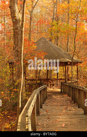 Talmadge Butler Boardwalk Trail, Azalee Cascade Trail, DeSoto State Park, Fort Payne, Alabama, USA Stockfoto