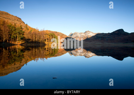 Ein Morgen im November bei Blea Tarn im Lake District Stockfoto