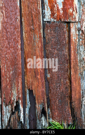 Capilla Stella-Maris, Chaple Details am Kap Horn Tierra del Fuego Archipel der südlichen Chile Pazifik Stockfoto