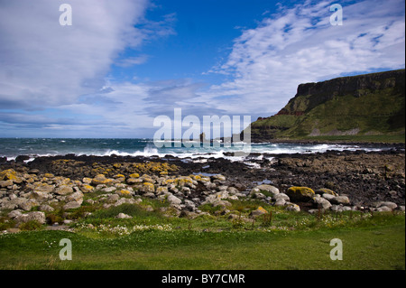 Giant es Causeway, Nordirland, County Antrim an einem sonnigen Tag mit blauem Himmel und Wellen an den Felsen Stockfoto