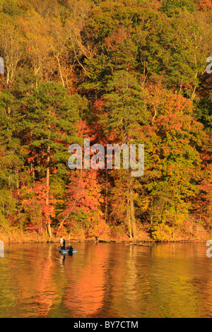 Fischer auf See in Town Creek Area, Lake Guntersville Resort State Park, Guntersville, Alabama, USA Stockfoto