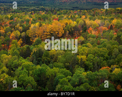 Luftaufnahme des bunten Herbst Bäume. Herbst Natur Landschaft. Algonquin Provincial Park, Ontario, Kanada. Stockfoto