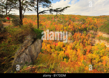 Wanderer auf Overlook Trail, Cloudland Canyon State Park, steigende Fawn, Georgia, USA Stockfoto