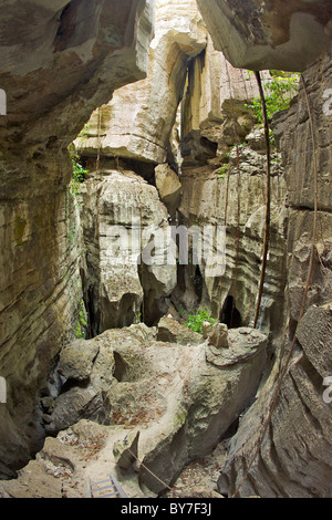 Der Wanderweg durch den Kalkstein Karst der Grand Tsingy im Tsingy De Bemaraha Nationalpark im westlichen Madagaskar. Stockfoto