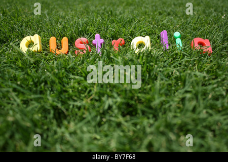 Das Wort "Australia" ausgeschrieben in bunten Buchstaben aus Kunststoff, auf dem grünen Rasen, genommen aus einem niedrigen Winkel Stockfoto