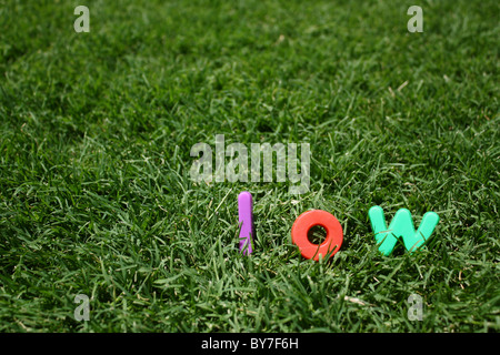 Das Wort "niedrig" ausgeschrieben in bunten Buchstaben aus Kunststoff, auf dem grünen Rasen Stockfoto