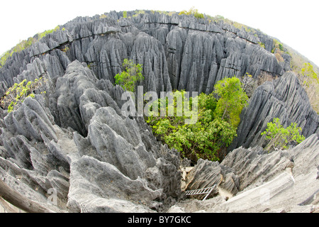 Fischaugen-Objektiv Blick über die Grand Tsingy-Landschaft in den Tsingy de Bemaraha Nationalpark im westlichen Madagaskar. Stockfoto