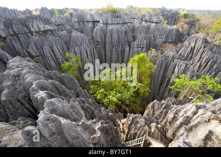 Blick über die Grand Tsingy-Landschaft in den Tsingy de Bemaraha Nationalpark im westlichen Madagaskar. Stockfoto