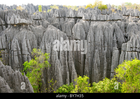 Blick über die Grand Tsingy-Landschaft in den Tsingy de Bemaraha Nationalpark im westlichen Madagaskar. Stockfoto